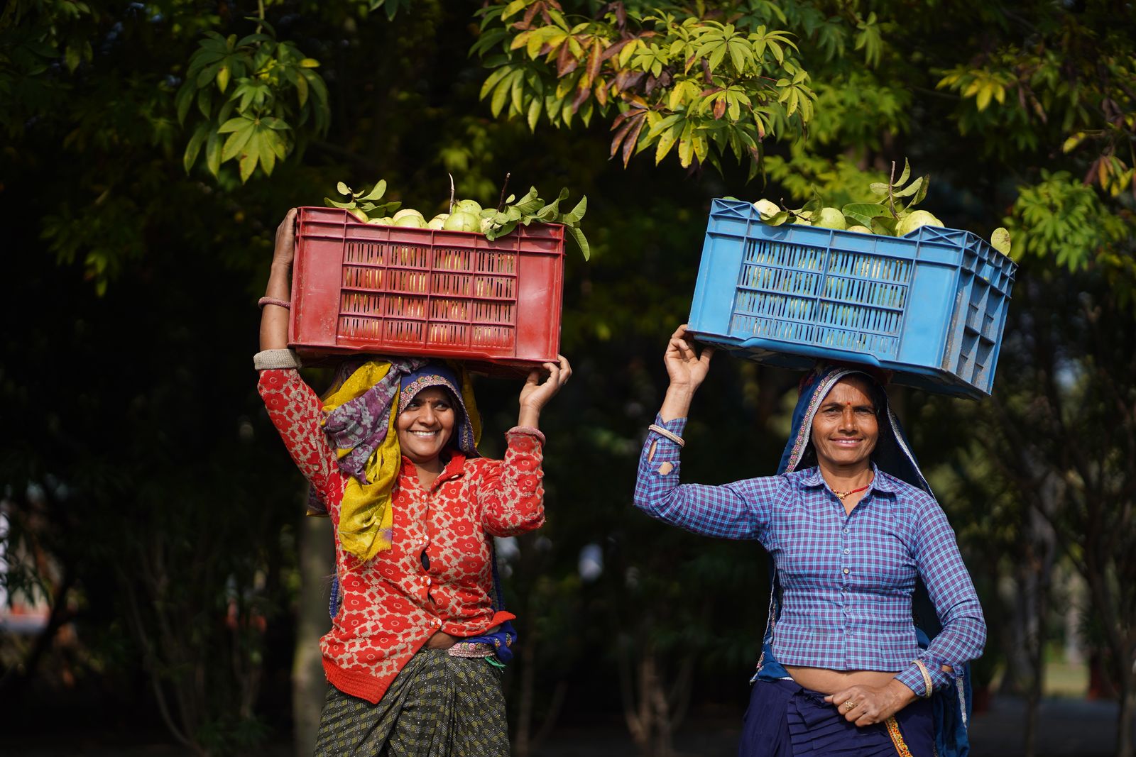 Colourful brand shoot with two women carrying fruit crates
