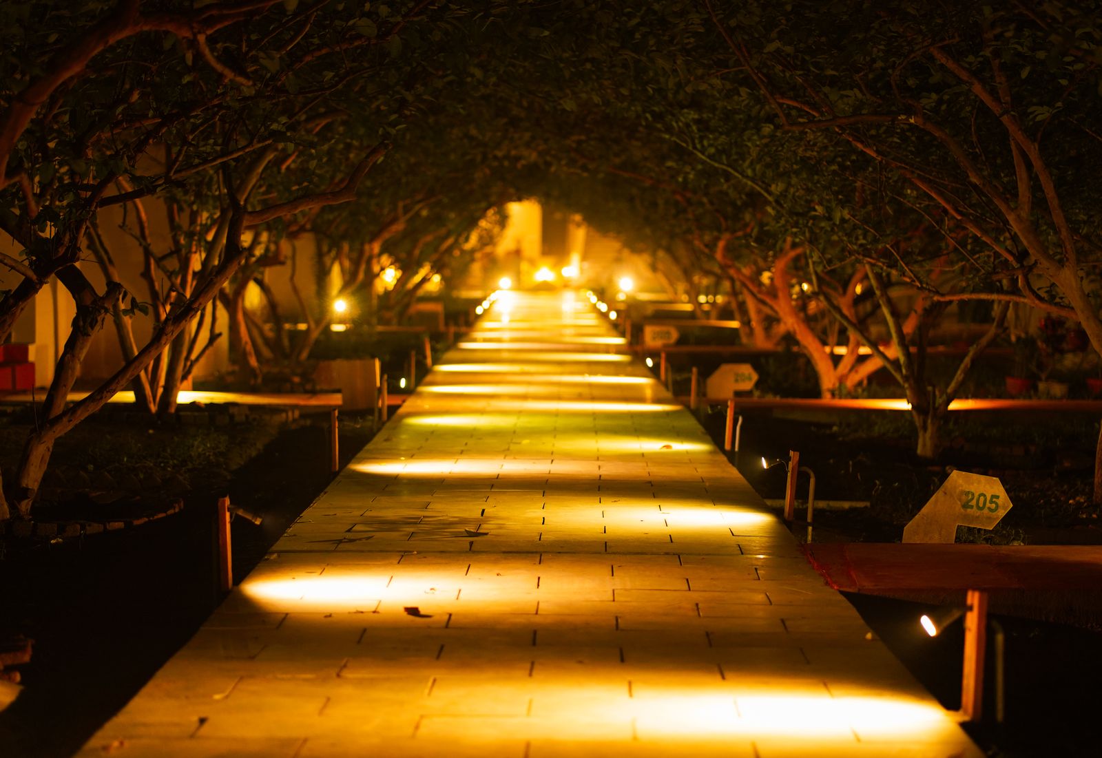 Lantern-lit resort pathway at night